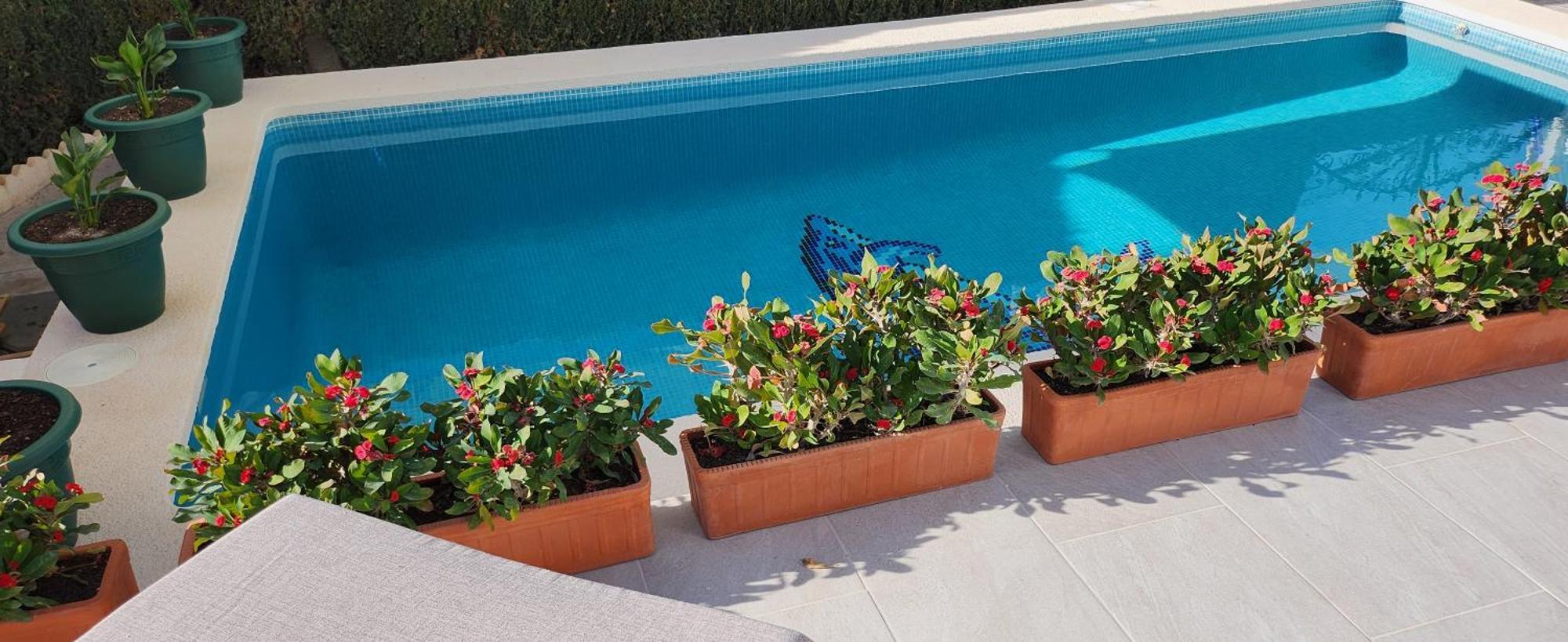 Las Mariposas San Fulgencio المظهر الخارجي الصورة